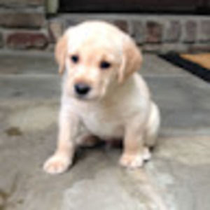 Meet your Posher, Mary ashlyn